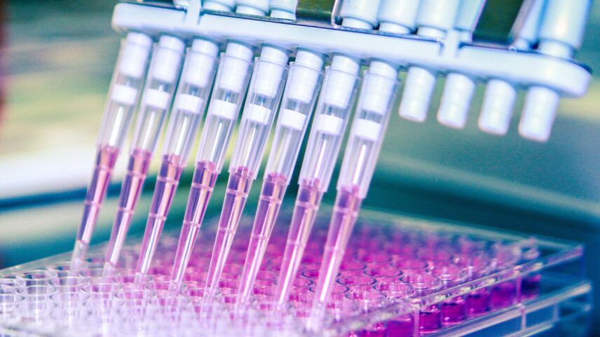 The Critical Role of Multi-Run Assay Control in Bioanalytical Research: A Context-First AI Approach for Contract Research Organizations (CROs)